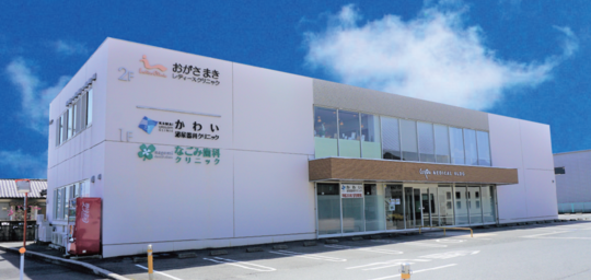 知っておきたい泌尿器のCT・MRI 改訂第2版 (画像診断別冊